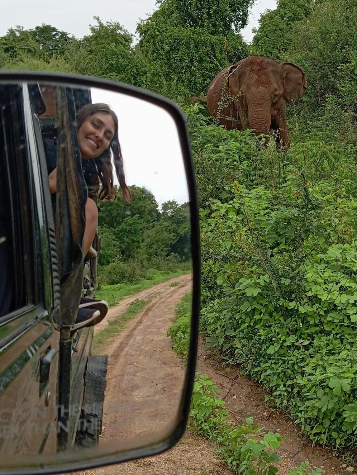 White Rose Safari Home Stay Udawalawe Luaran gambar