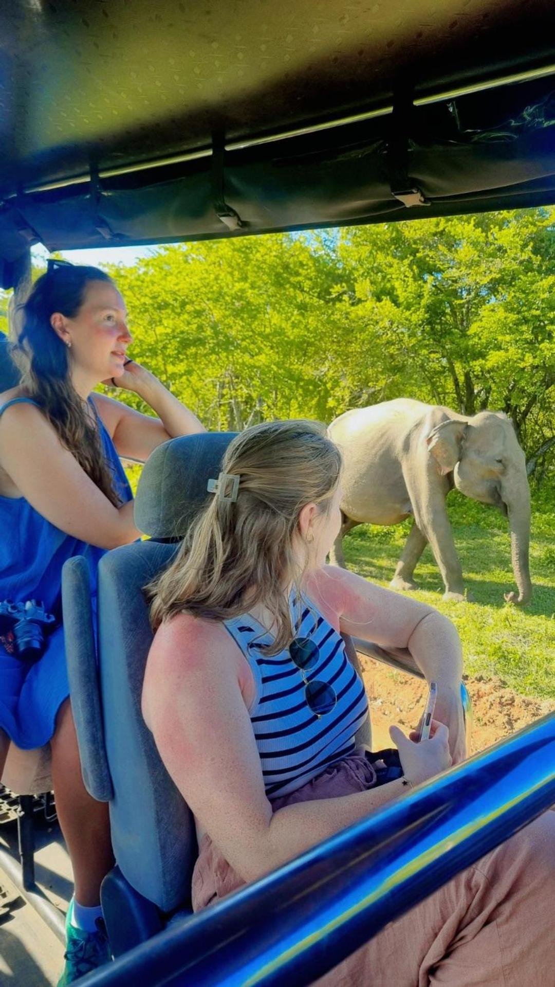 White Rose Safari Home Stay Udawalawe Luaran gambar