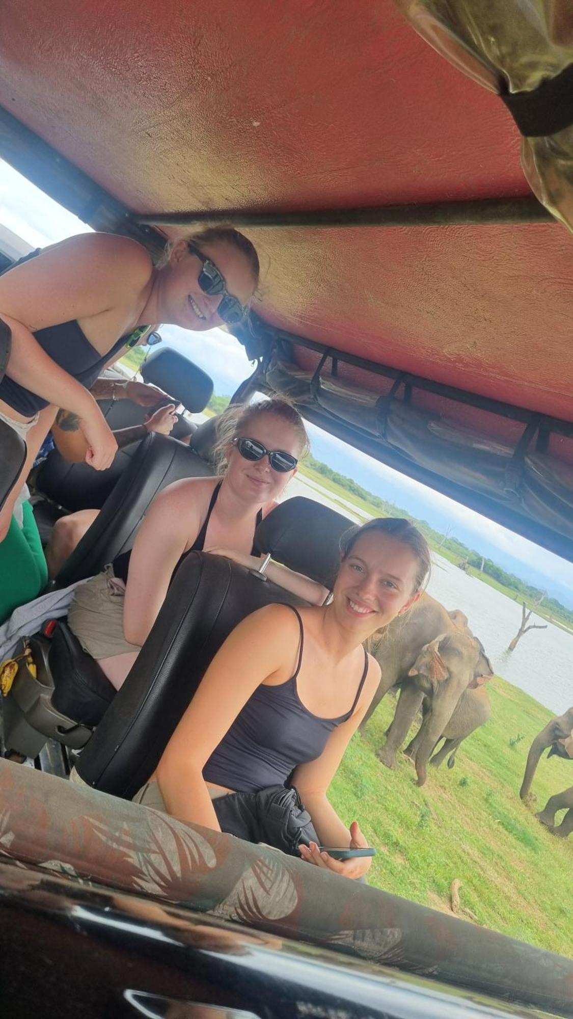 White Rose Safari Home Stay Udawalawe Luaran gambar