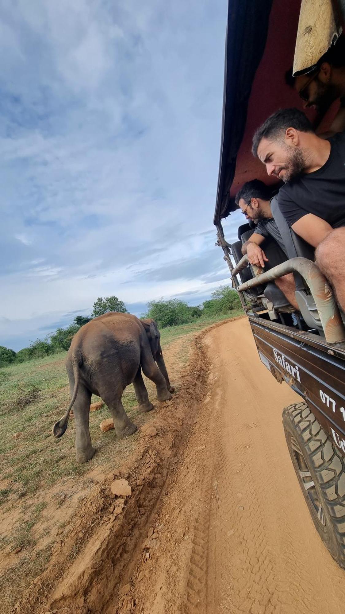 White Rose Safari Home Stay Udawalawe Luaran gambar
