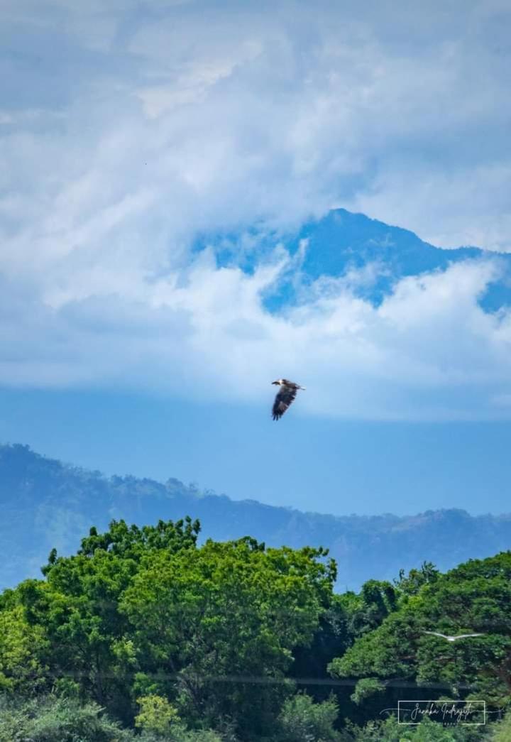 White Rose Safari Home Stay Udawalawe Luaran gambar